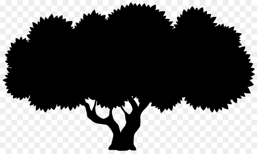 Silueta De Arbol，Planta PNG