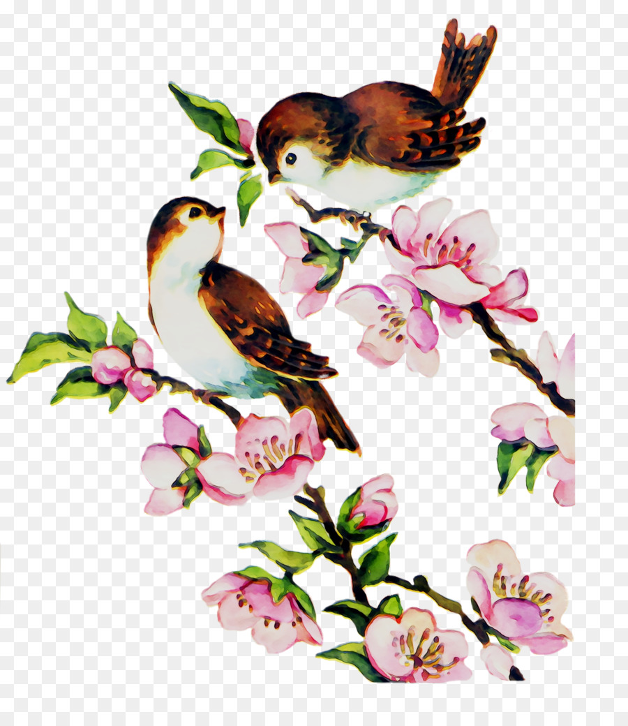 Pájaros Y Flores，Primavera PNG