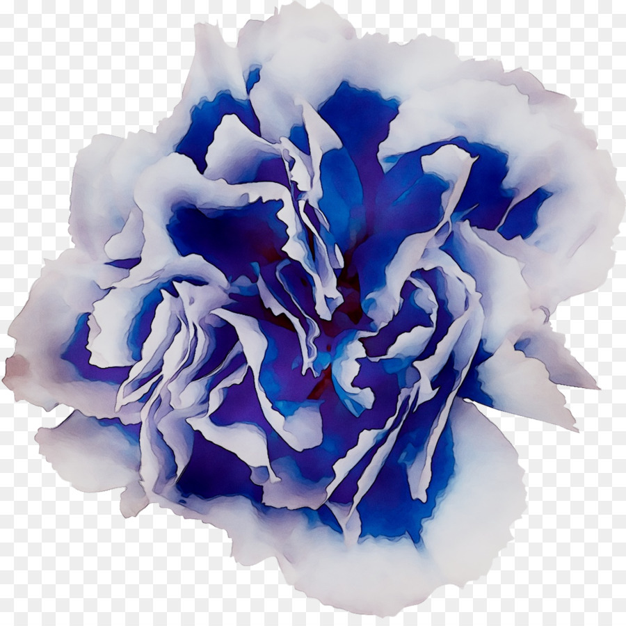 Rosa Azul，Col Rosa PNG