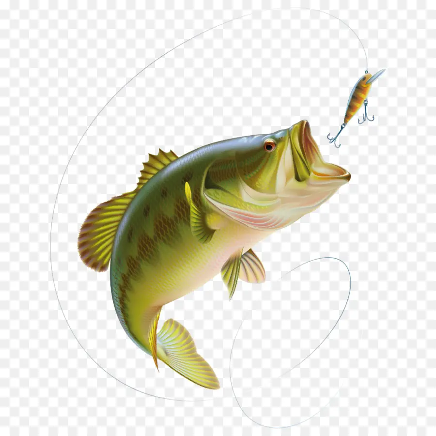 Pez，Pesca PNG