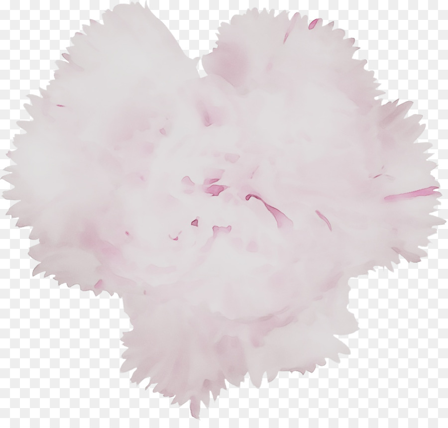 Pluma Rosa，Suave PNG