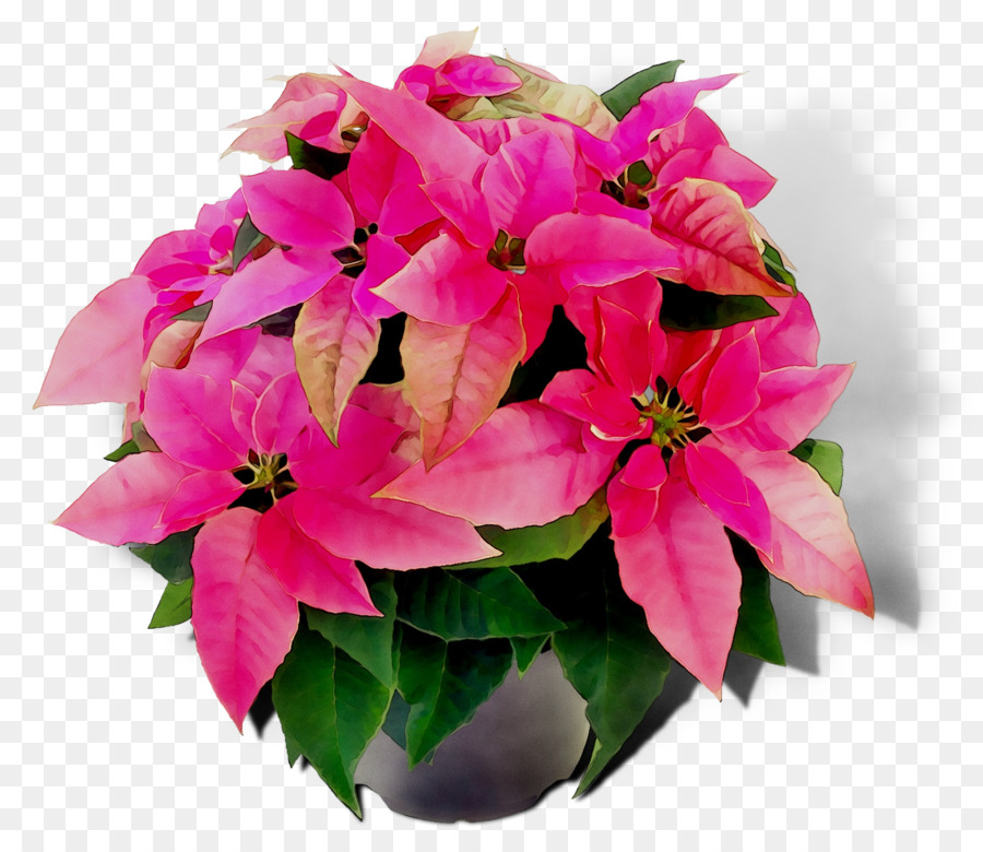 Diseño Floral，Las Flores Cortadas PNG