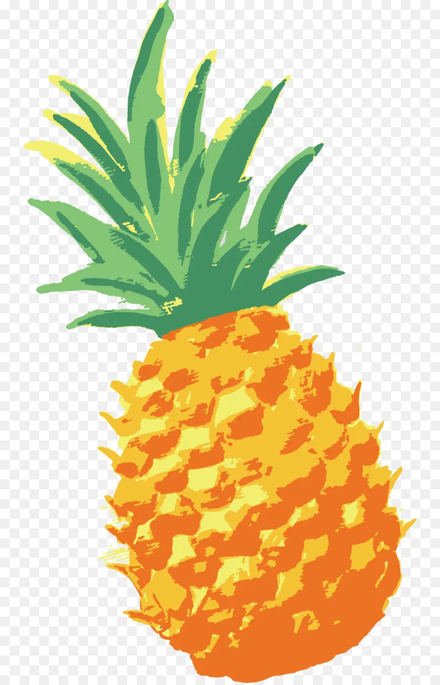 Piña，Dibujo PNG