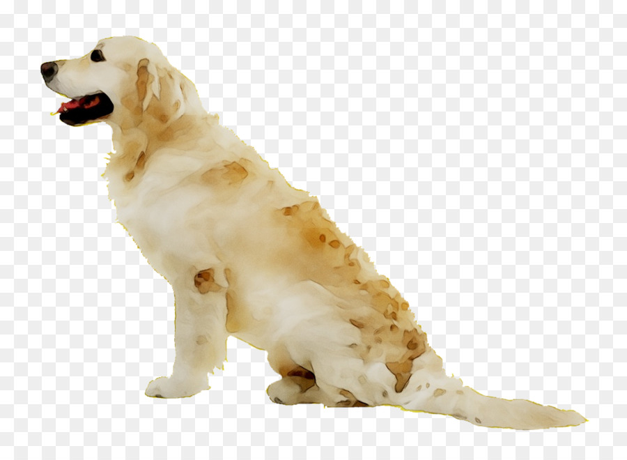 Perro，Blanco PNG