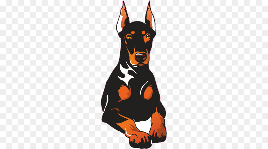 Dobermann，Pinscher Miniatura PNG