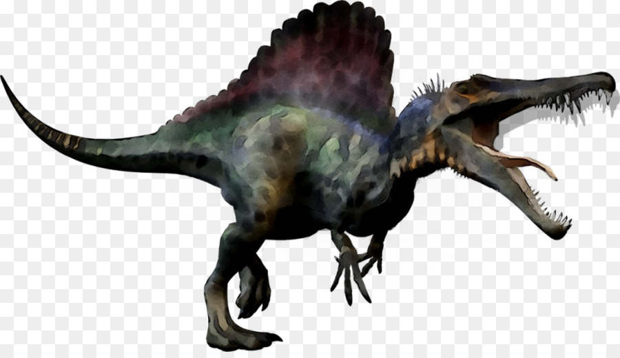 Spinosaurus，Tyrannosaurus PNG