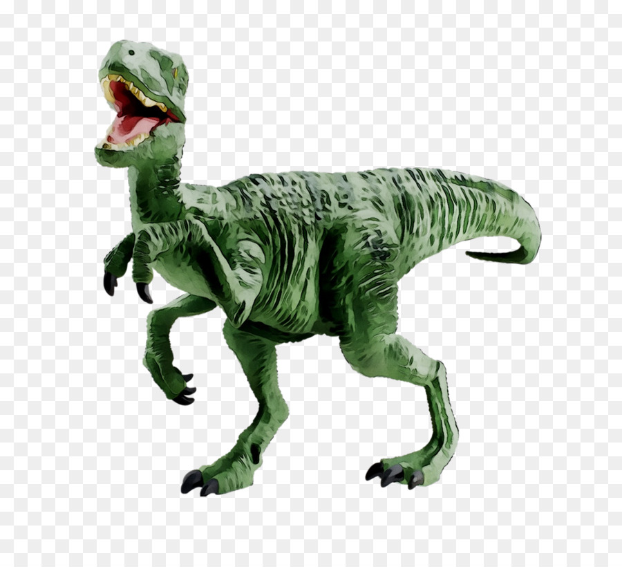 Velociraptor，Tyrannosaurus PNG