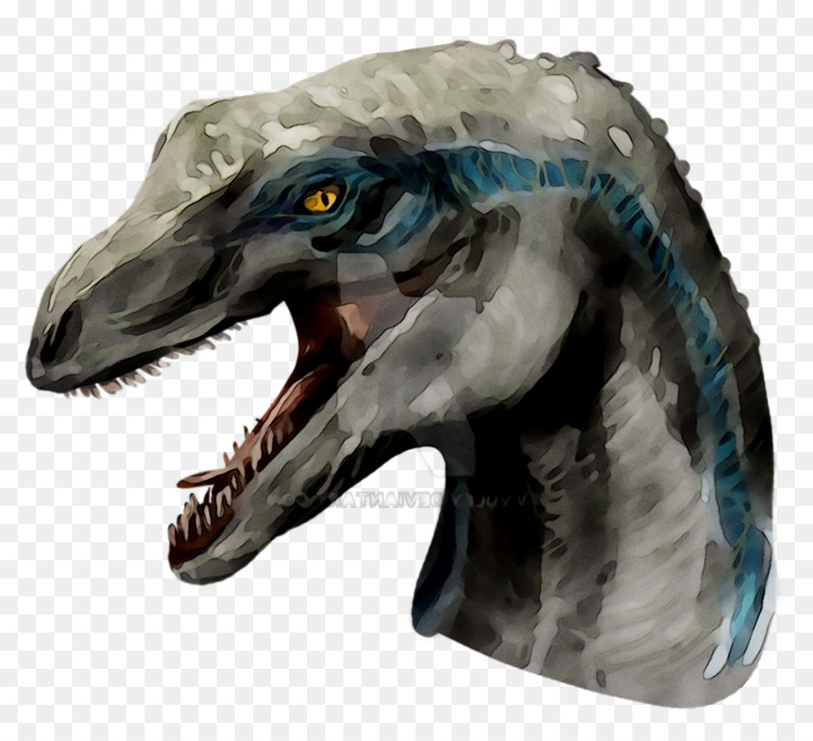 Velociraptor，Tyrannosaurus PNG