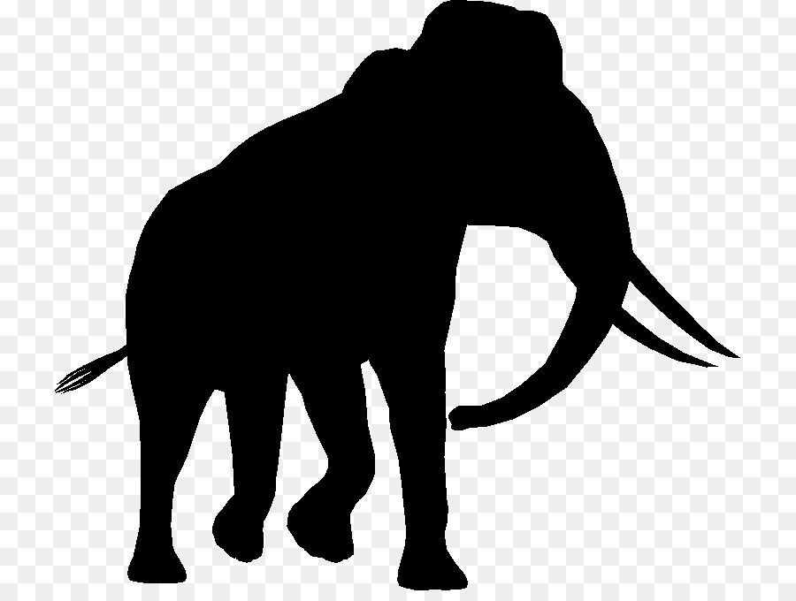 Elefante Indio，El Elefante Africano PNG