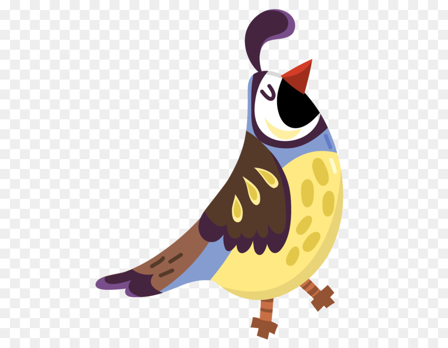 Loro，Verde PNG