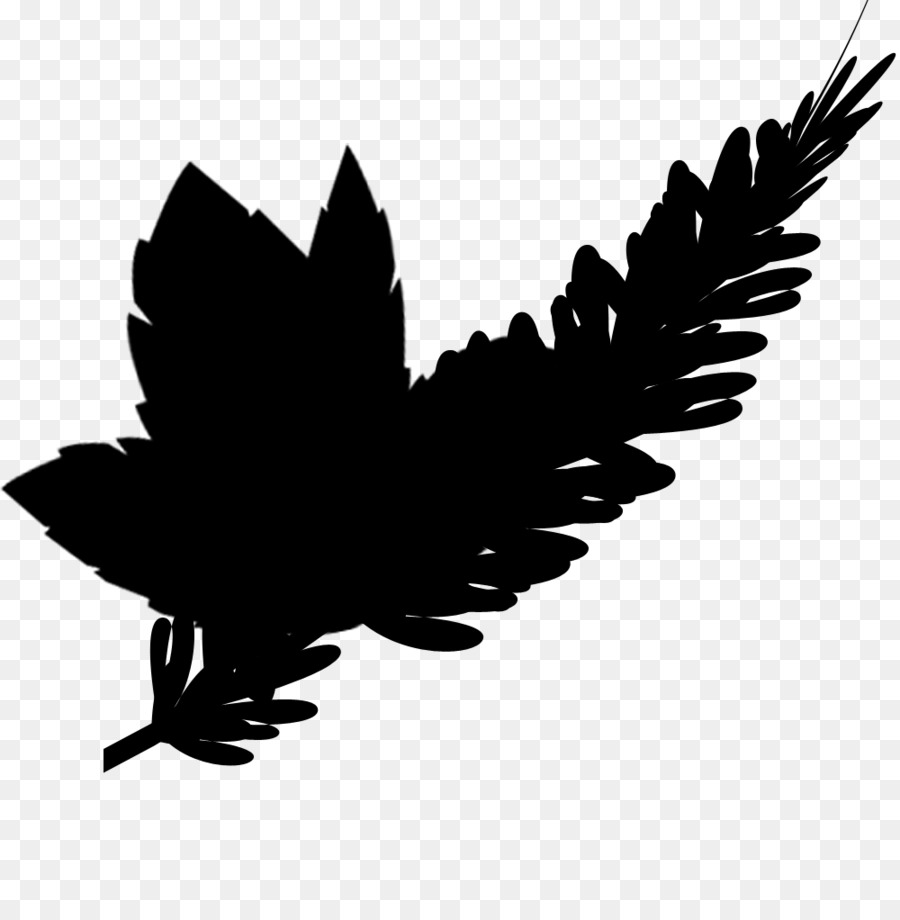 Pico，Aves PNG