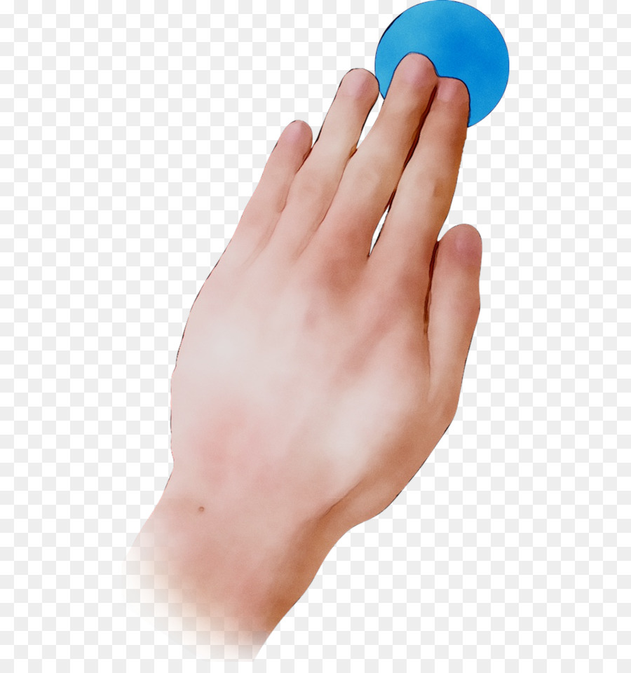 Uñas，De La Mano De La Modelo PNG