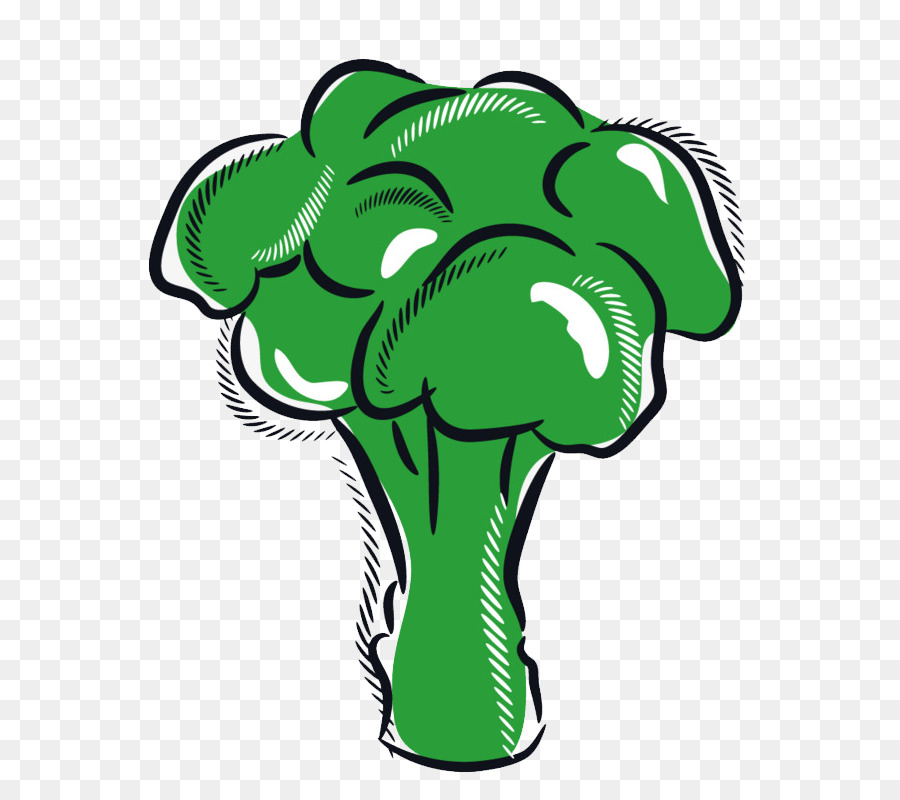 La Coliflor，Brotes De Brócoli PNG