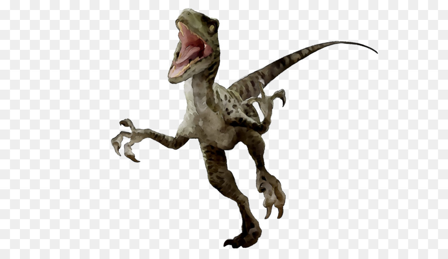 Velociraptor，Tyrannosaurus PNG