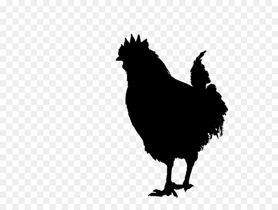 Silueta De Pollo Negro，Aves De Corral PNG