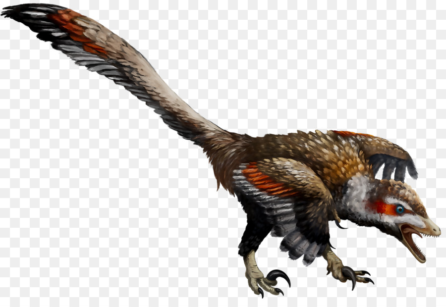 Velociraptor，La Fauna PNG