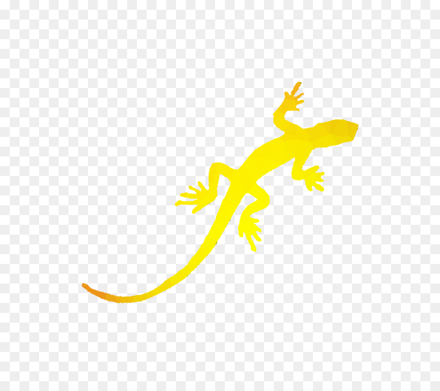 Geco，Lagarto PNG