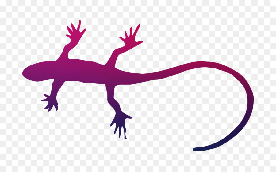 Geco，Lagarto PNG