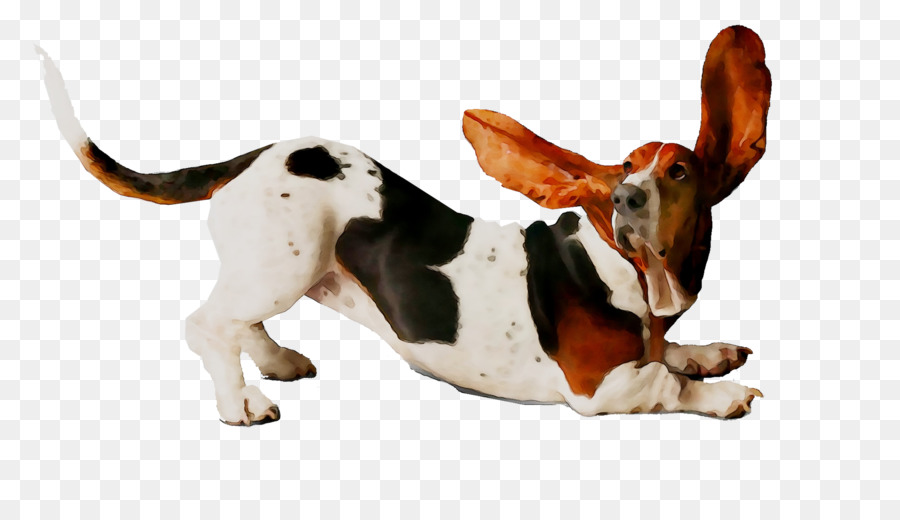 Perro，Mascota PNG