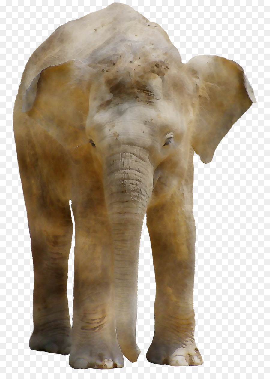 Elefante，Estatua PNG