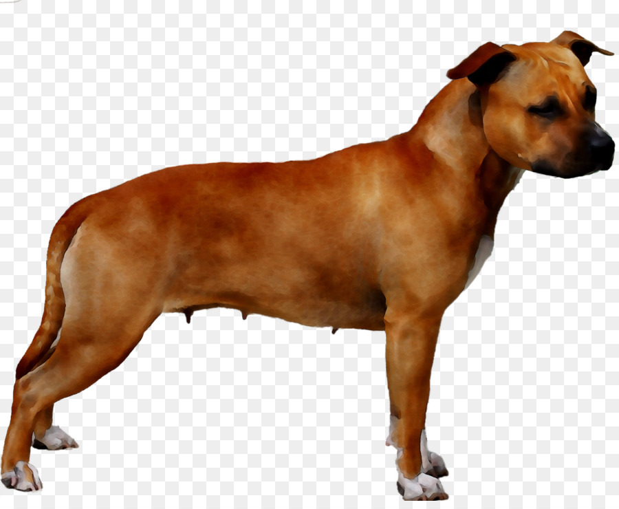 Raza De Perro，Ridgeback Ridgeback PNG