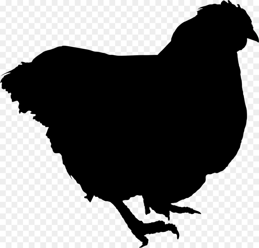 Pollo，De Pollos De Engorde PNG