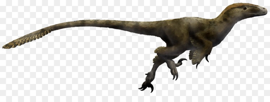 Utahraptor，Velociraptor PNG