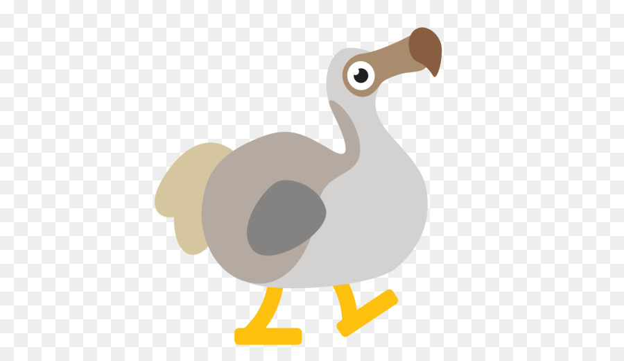 Pollo，Aves PNG