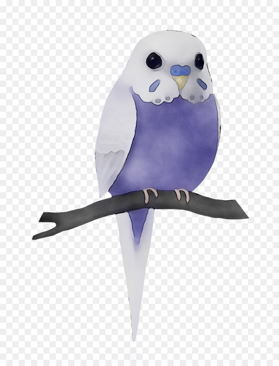 Lechuza，Mascota PNG