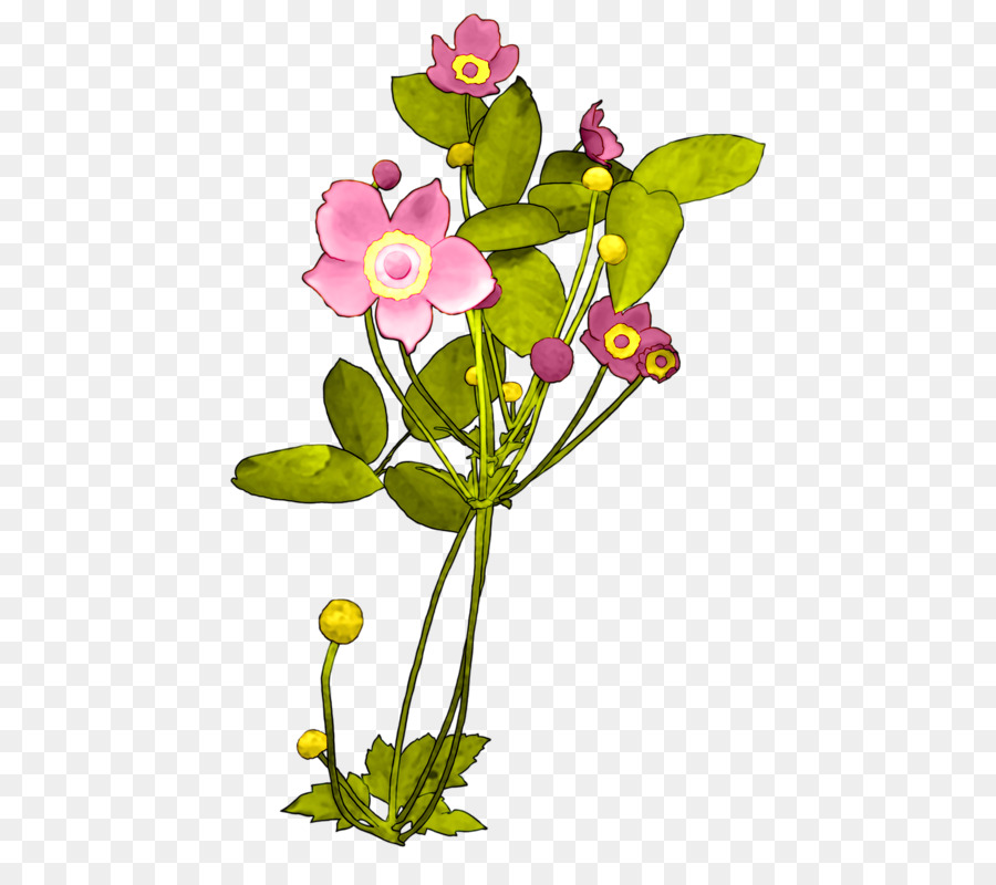 Las Plantas，Diseño Floral PNG