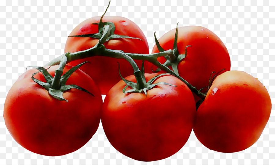 Tomate Ciruela，Bush Tomate PNG