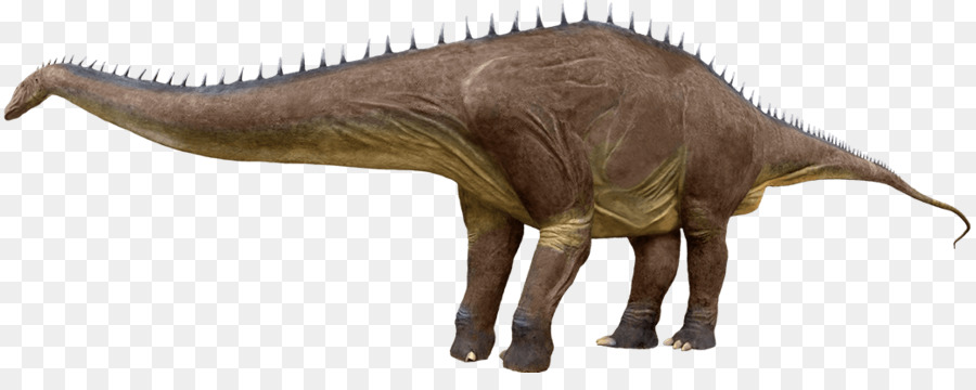 Tyrannosaurus，Argentinosaurus PNG