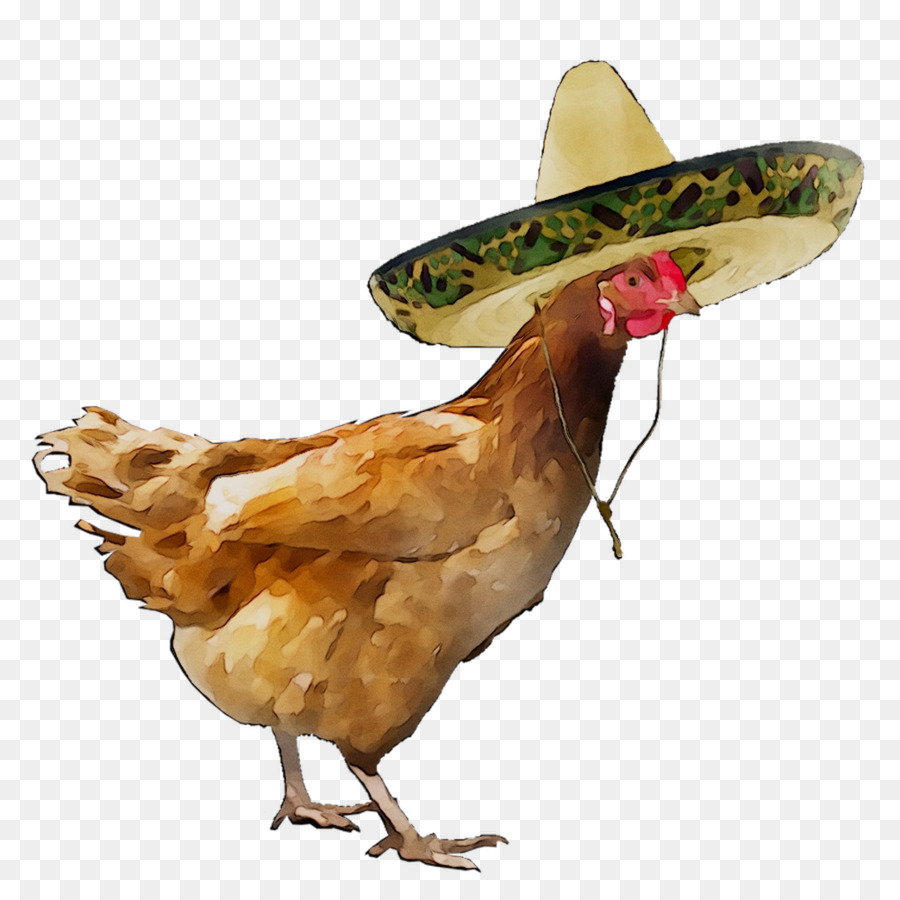 Pollo，De Pollos De Engorde PNG