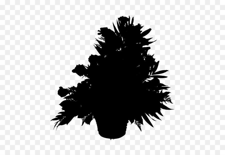 Árbol，Fondo De Escritorio PNG