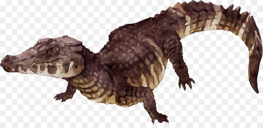 Tyrannosaurus，Cocodrilo PNG