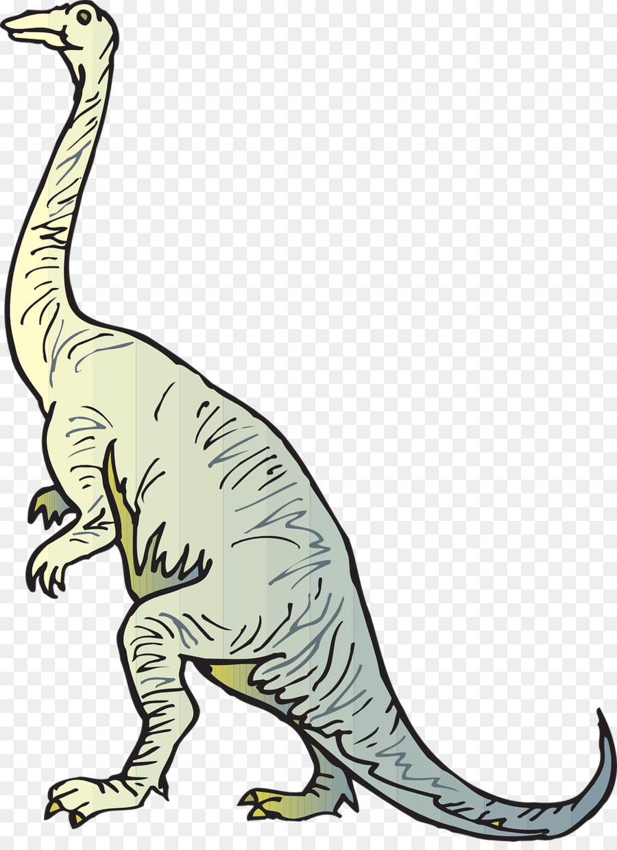 Diplodocus，Brachiosaurus PNG