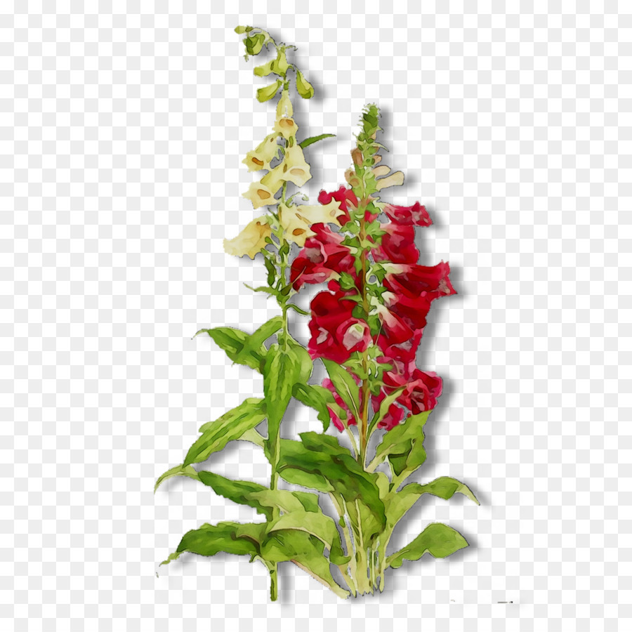 Las Flores Cortadas，Diseño Floral PNG