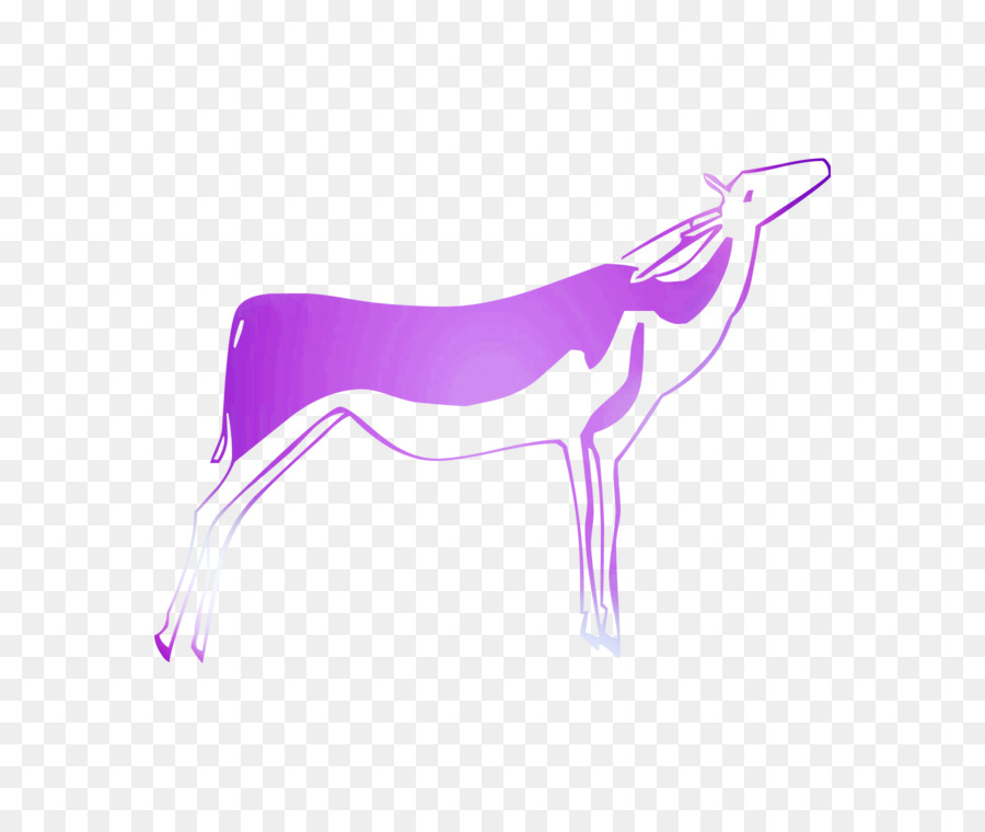 Canidae，Perro PNG