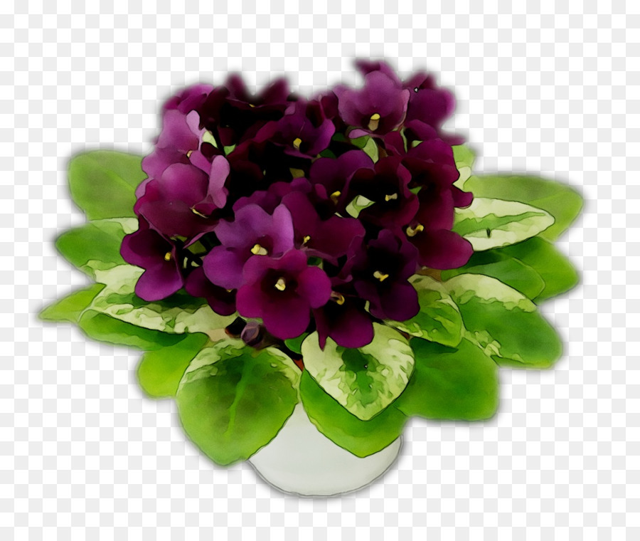 Violeta，Planta Herbácea PNG