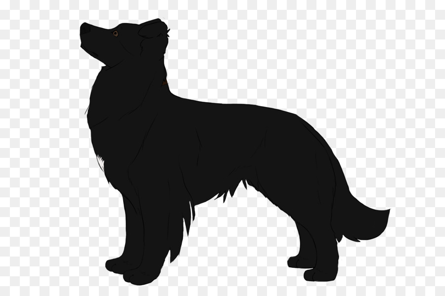 Schipperke，Cachorro PNG