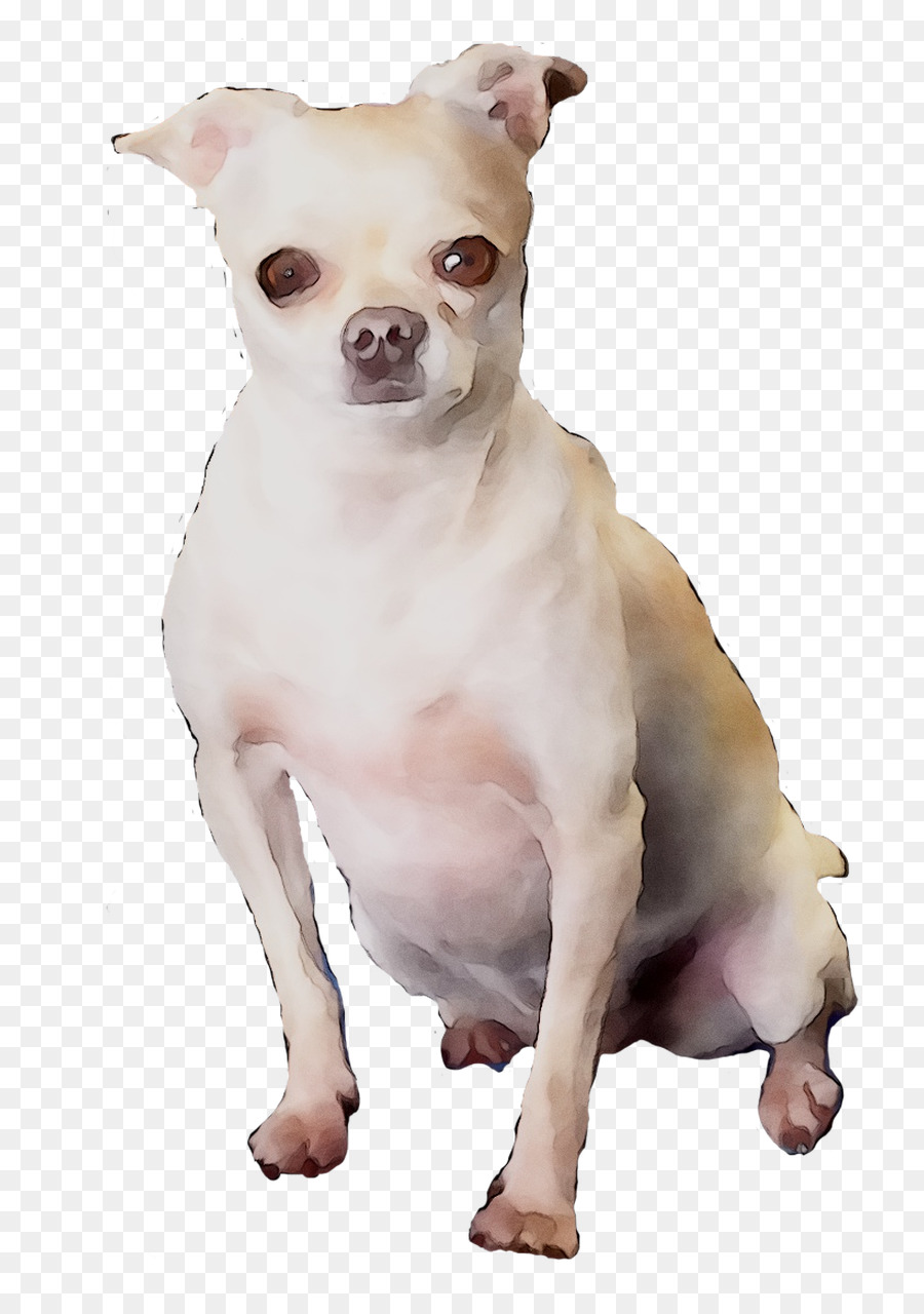 Perro Marrón，Mascota PNG