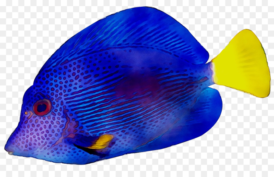 Pescado Azul，Marina PNG