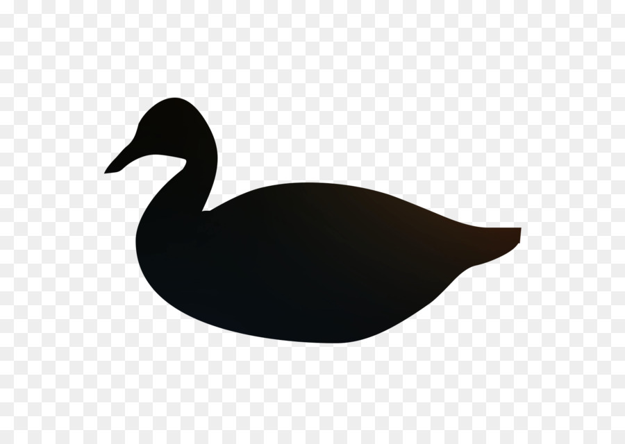 Pato，Ganso PNG