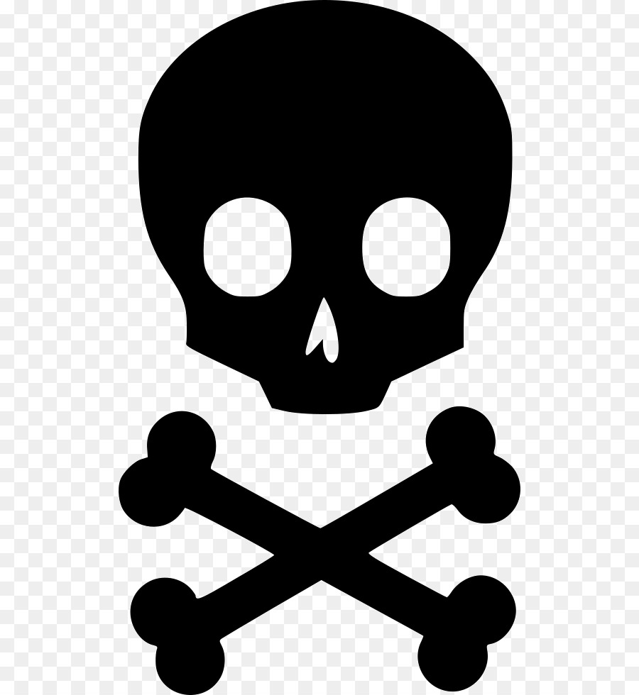 Iconos De Equipo，Cráneo Y Bandera Pirata PNG