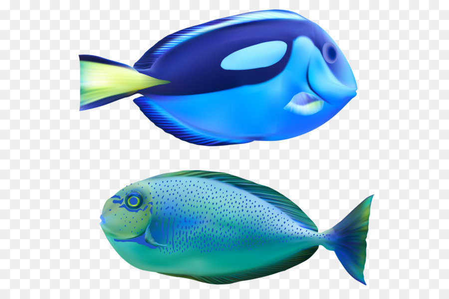 Los Peces，Mariscos PNG