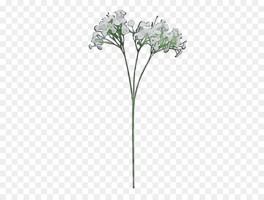 Las Flores Cortadas，Tallo De La Planta PNG