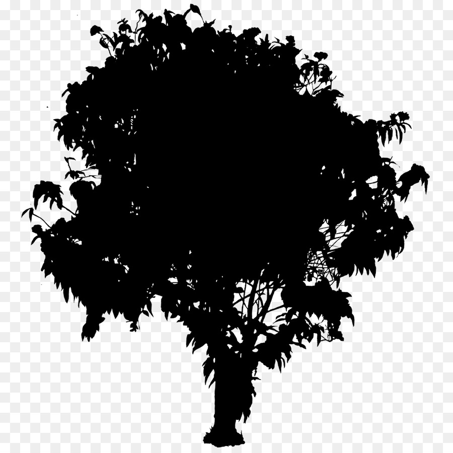 Árbol，Naturaleza PNG