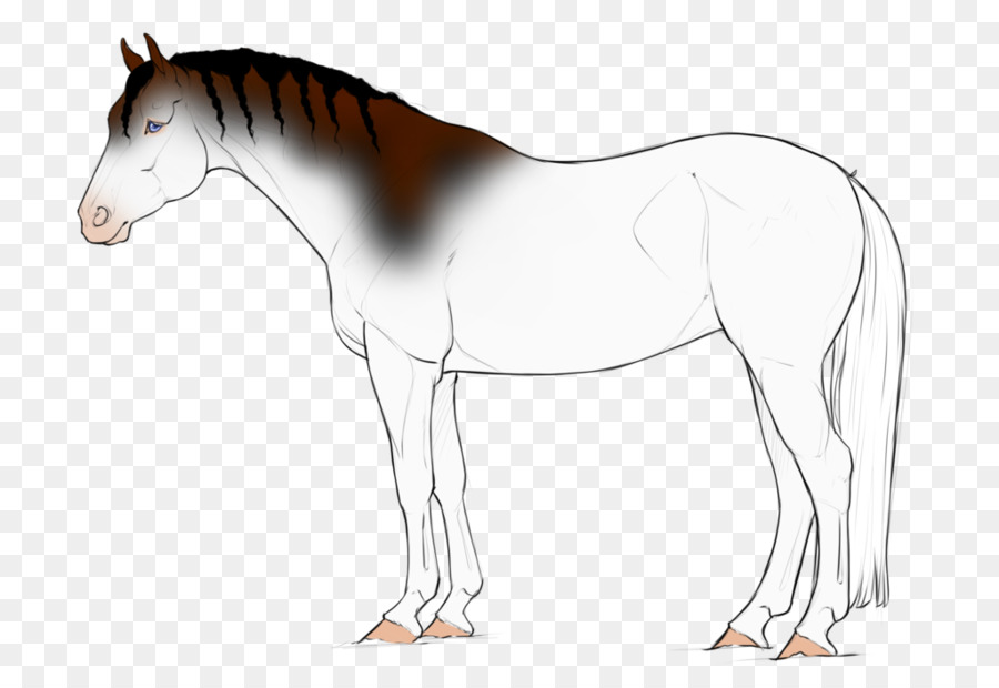 Mustang，Potro PNG