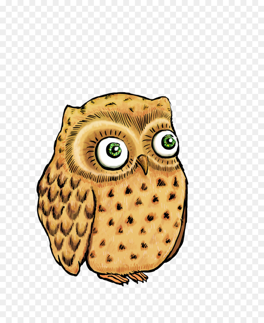 Búho De Dibujos Animados，Ojos Grandes PNG