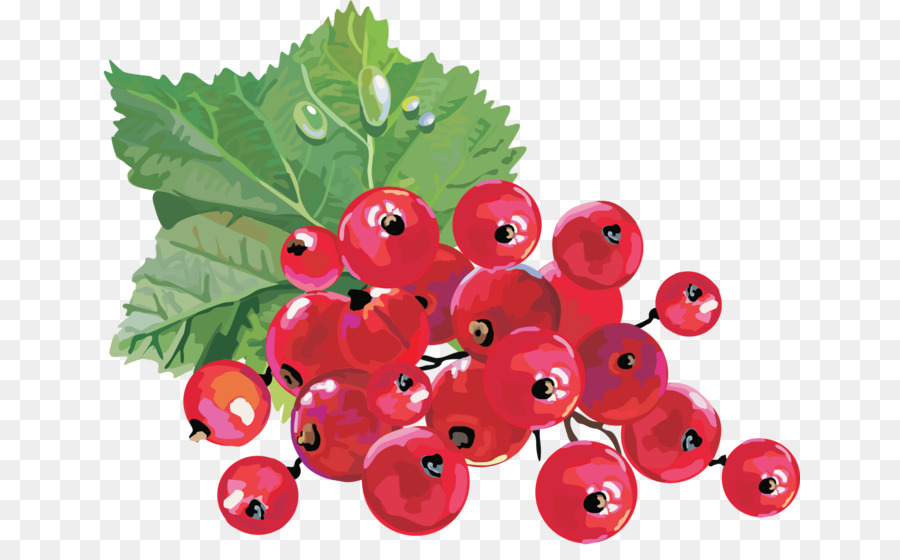 Uvas Rojas，Racimo PNG